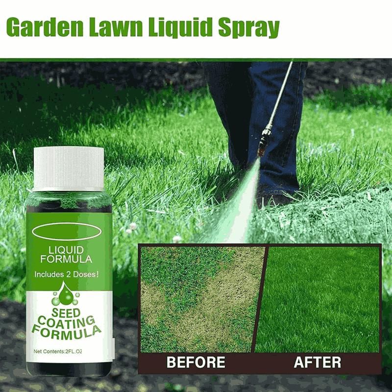 Seed Coating Formula, 60ml Green Grass Lawn Spray Pack of 1 (60ml)